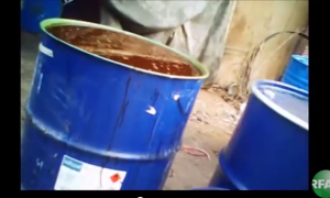 Cooking Oil Recycled From Sewers—It's as Gross as It Sounds and More Common Than You'd Think