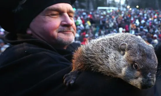 Groundhog Day 2014: When to Watch, Predictions, Accuracy