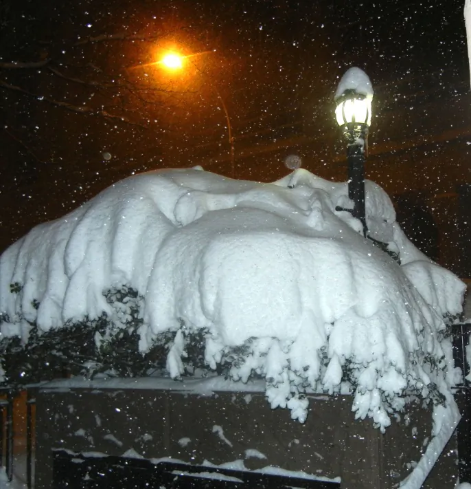 The view outside this writer's front door. (Nanci Callahan)