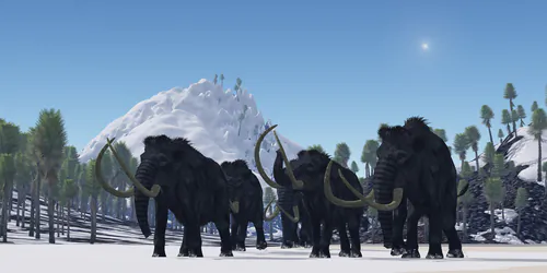 Did a Comet Kill the Woolly Mammoths?