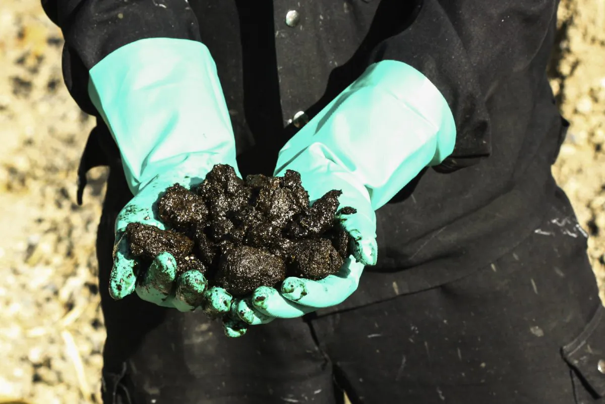 A file photo of oil sands (Curraheeshutter/iStock)