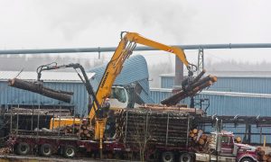 Free Trade Deal ‘Win-Win’ for Canada and South Korea: Poloz