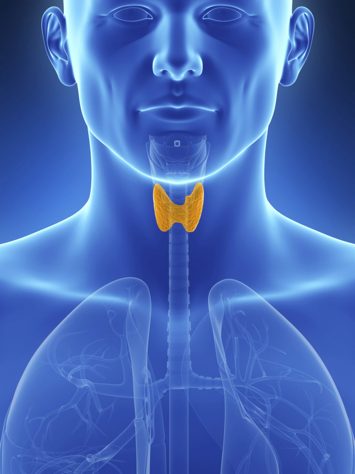 Advice for Men With Underactive Thyroid