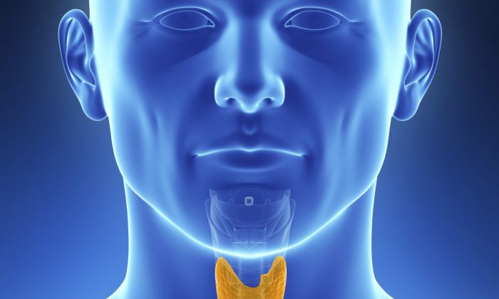 Advice for Men With Underactive Thyroid