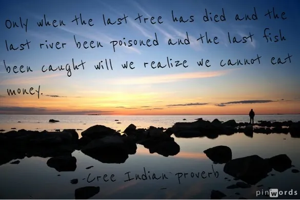 Earth Hour Today: Inspiring Environmental Quotes, Native American Proverbs