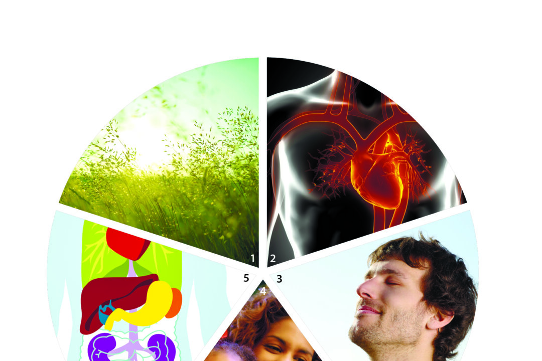 The term 'qi' refers to many things including: 1. The energy that circulates around us. 2. The energy inside our body that warms and cools us. 3. The air we breathe. 4. Our emotions. 5. The energy that maintains the functions of every organ. (photos.com)