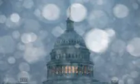 Democracy in Times of Crisis