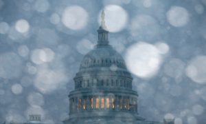 Democracy in Times of Crisis