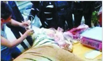 Businessmen Bribe Officials With Tiger Meat and Bones in China