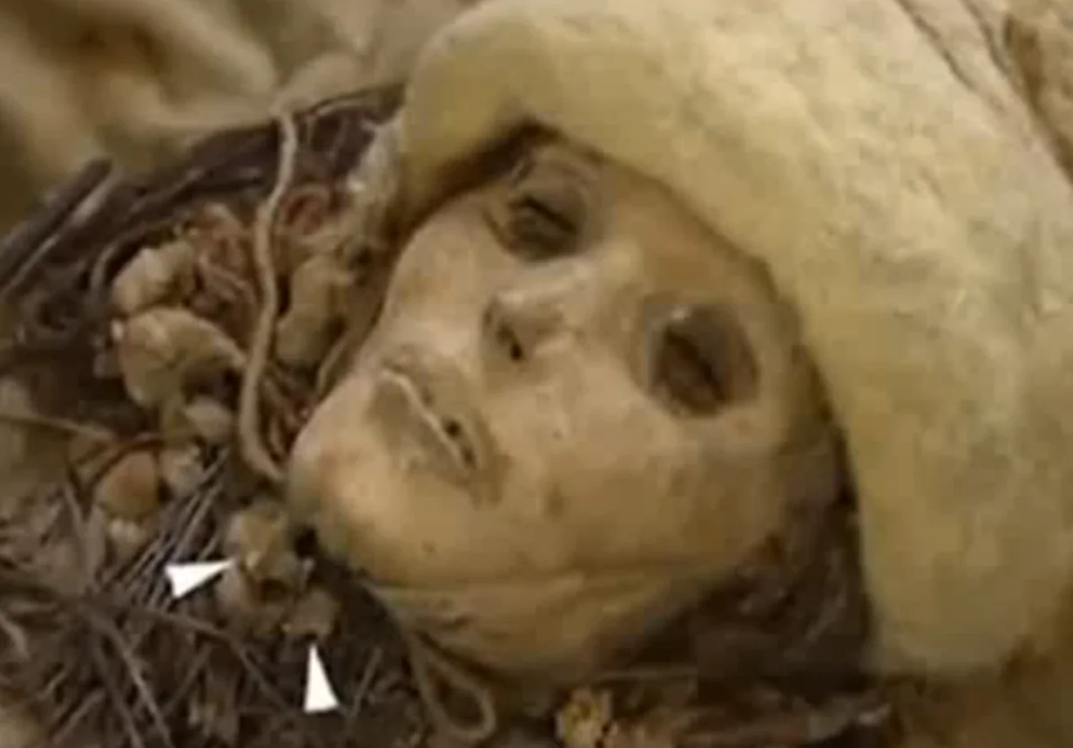 Screenshot with arrows pointing to where some of the cheese lumps were found on an ancient mummy from north-west China. (Screenshot/YouTube)