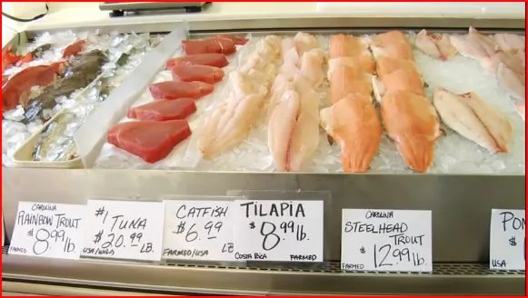 The Benefits of Eating Fish (Video)