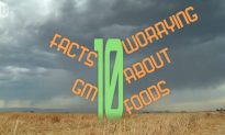 10 Worrying Facts About Genetically Modified Food