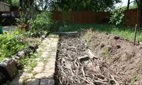How to Make a Lasagna Your Garden Plants Will Love