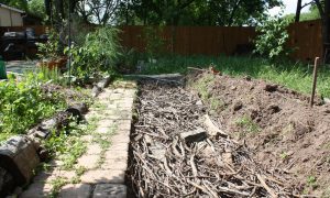 How to Make a Lasagna Your Garden Plants Will Love