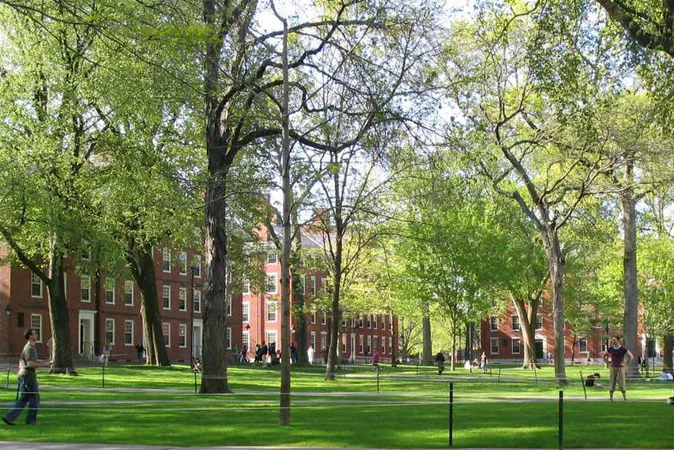 The Harvard College Yard. (Wikimedia Commons)