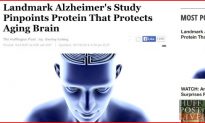 Landmark Alzheimer’s Study Pinpoints Protein That Protects Aging Brain