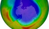 Is the Ozone Hole a Good Thing?