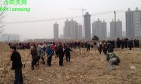 Peasants With Pitchforks Defy China’s Urbanization Thrust