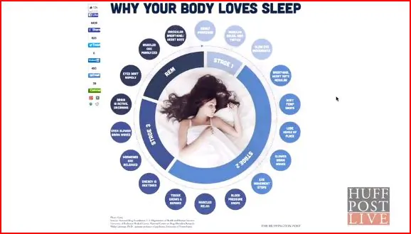 The Four Stages Of A Good Night’s Sleep (Video)