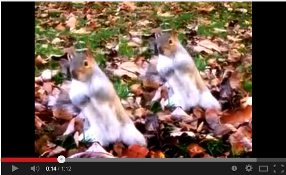 7 Short Videos That Will Make You Laugh Uncontrollably Every Time