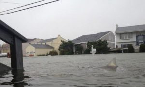 In the Unverified Digital World, Are Journalists and Bloggers Equal?