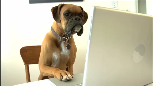 10 Everyday Tasks That Can Be Skipped