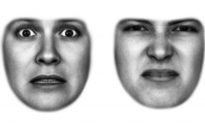 Faces Show Fear and Disgust to Help Eyes See