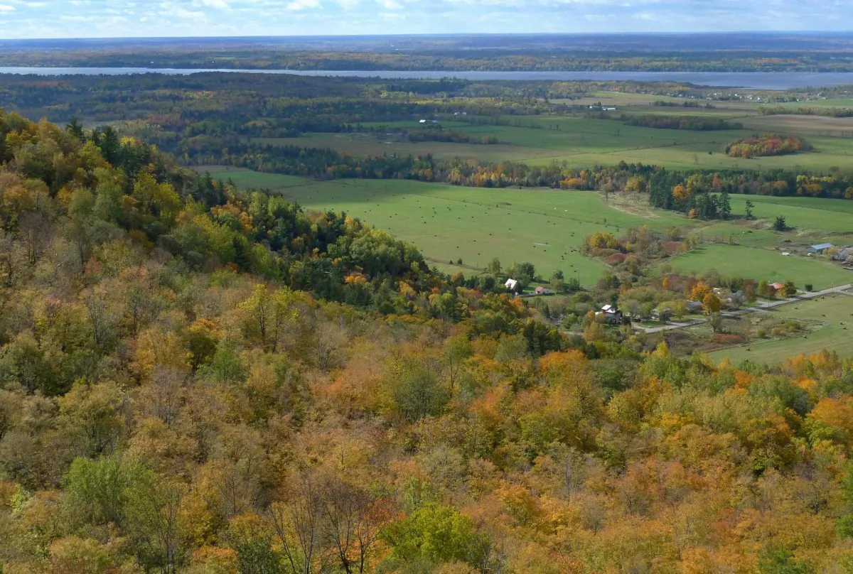 Farmers fields are shown in the Ottawa Valley. Union groups say the closure of Kemptville College, located in the Ottawa Valley, could hurt agriculture and jobs in Eastern Ontario. (The Canadian Press Images/Adrian Wyld)