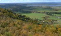Closure of Kemptville College Could Hurt Agriculture, Jobs: Unions