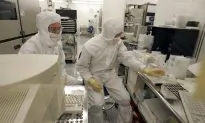 Small Chip Has Big Potential