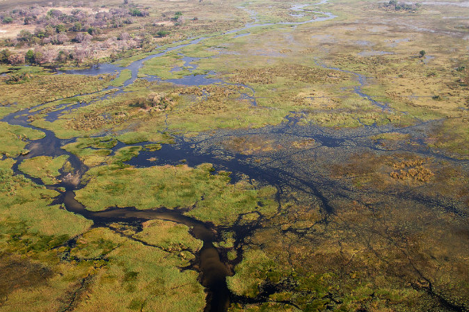 Okavango Delta