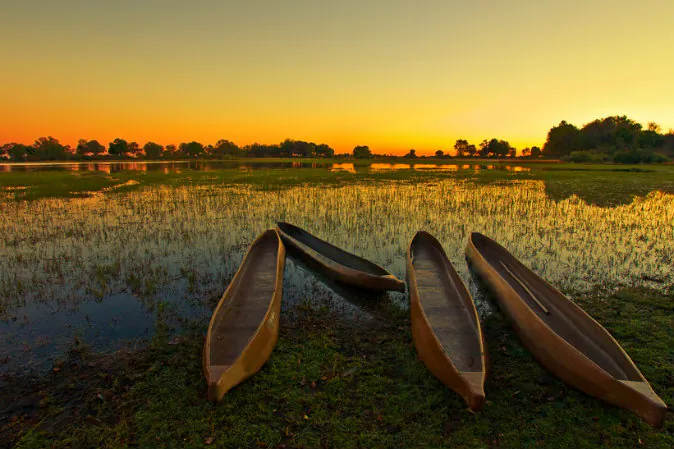 Okavango Delta, Botswana, Africa. (Shutterstock*)
