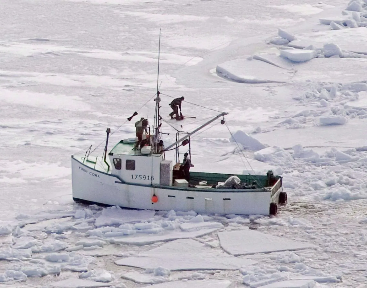 Hunters kill a harp seal during the annual East Coast seal hunt in the southern Gulf of St. Lawrence on March 25, 2009. Animal rights groups are upset over a bill that would make it more difficult for them to observe the seal hunt. (The Canadian Press/Andrew Vaughan)
