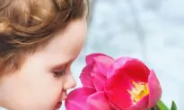 The Power of Scent