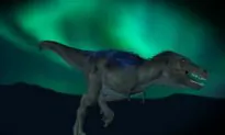 New Dinosaur, Tiny Relative of Tyrannosaurus Rex, Uncovered in Arctic