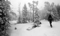 Bigfoot Isn’t the Only Elusive Creature Said to Roam the Canadian Wilds (+Videos of Wendigo, Ogopogo Sightings)