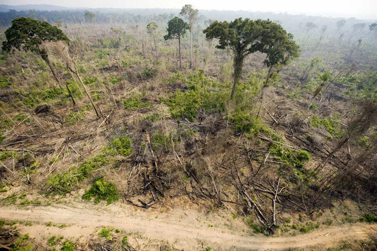 Aerial view of a burnt out sector of the Jamanxim National Forest at an illegal settlement November 29, 2009, in the Amazon state of Para, nothern Brazil. (Antonio Scorza/AFP/Getty Images)