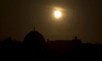 Why Are Muslims Turning Away From Science?
