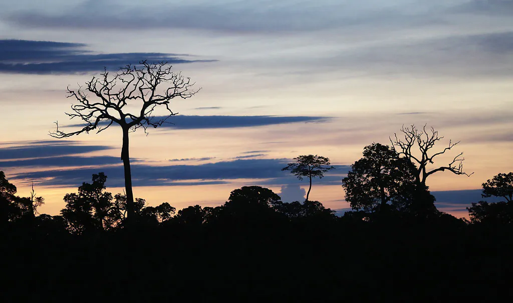 Deforestation is seen along the Interoceanic Highway in the Amazon lowlands on November 16, 2013 in Madre de Dios region, Peru. The biologically diverse Madre de Dios ('Mother of God') region has seen deforestation from gold mining in the area triple since 2008, when gold prices spiked during global economic turmoil. In addition, deforestation along the recently constructed highway has occurred due to logging and farming as the highway has opened access to previously remote areas. (Mario Tama/Getty Images)