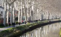 The Big, Bad Market: A French Psychosis?