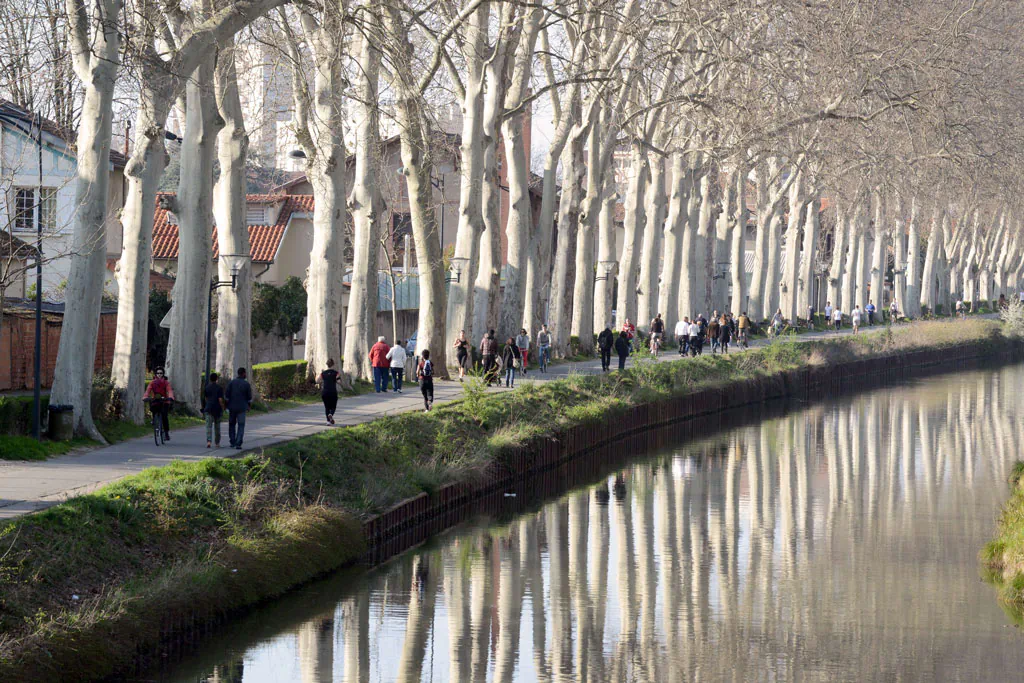 Cyclists, runners and residents enjoy the weather on the bank of the Canal du Midi, in Toulouse, southern France, on March 16, 2014. (Remy Gabalda/AFP/Getty Images)