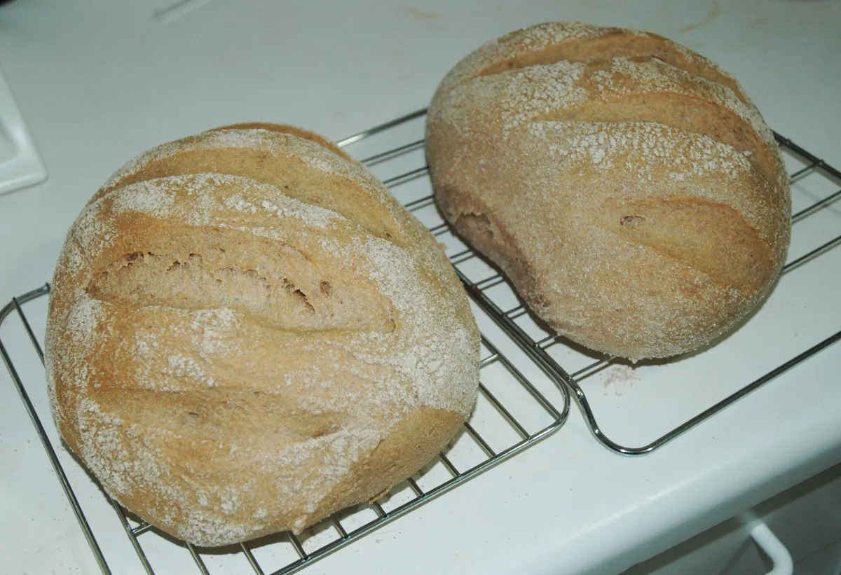 Wild sourdough bread. (Alice Lovett/Epoch Times)