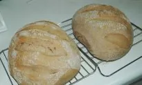 Wild Sourdough From Your Own Backyard
