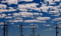 Mammoth Power Grids at Risk of Failure?