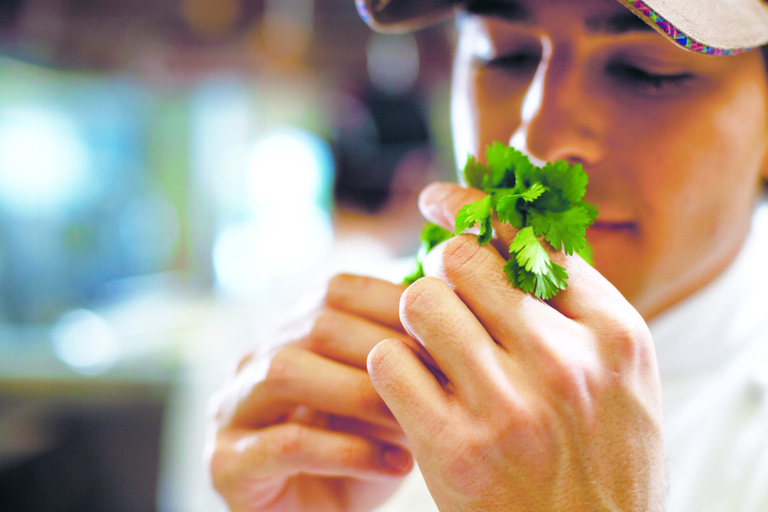 Oftentimes when people strongly like or dislike cilantro, it is the smell they are reacting to. (Fuse/thinkstockphotos.com)