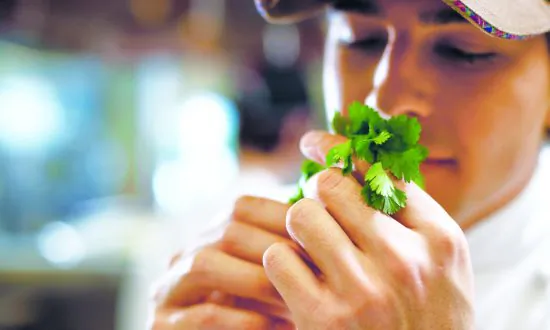 Number 1 Herb to Detoxify From Heavy Metals