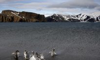 Surprising ‘Hot Zone’ Detected Under Antarctica