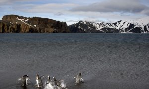 Antarctica Was Once as Warm as California