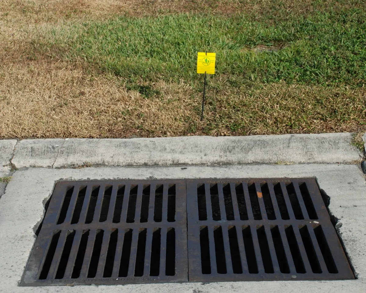 Signs proclaiming pesticide use is dangerous to humans are posted near a storm sewer. When lawn sprinklers are turned on or when it rains all the poison drains directly into the storm drain, thence into the Intracoastal Waterway and at tide change into the ocean. There is no treatment of any kind for these chemicals not for nitrogen containing fertilizers that arrive in the ocean the same way pesticides and all manner of road run offs do. (John Christopher Fine copyright 2012)