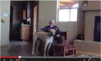 Her Father Has Alzheimer’s, But When He Is With The Dog, This Magic Happens (Moving Video)